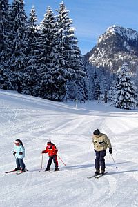 Steiermark - Langlaufangebote Winter 2003 / 2004